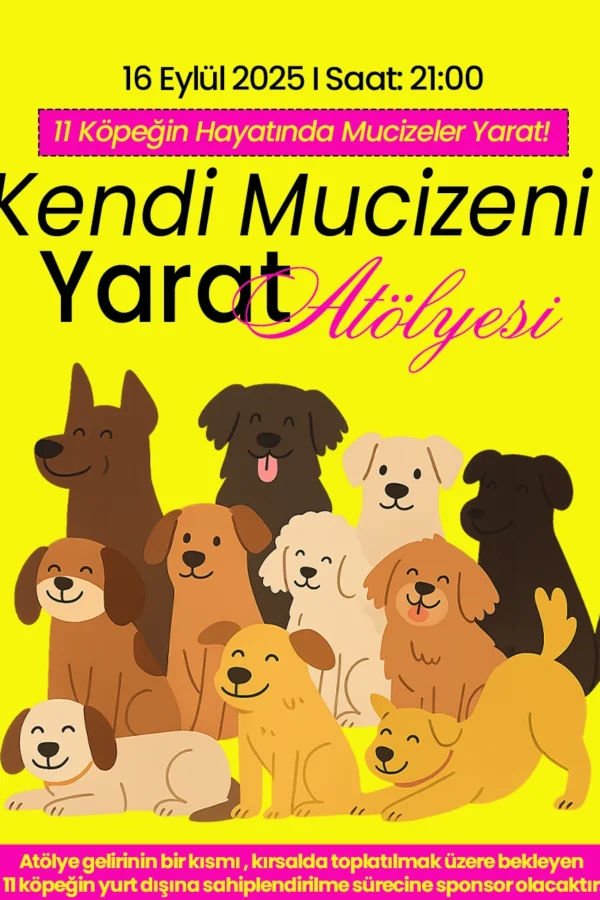 Kendi Mucizeni Yarat Atölyesi 🌟 Astrolog Elvan